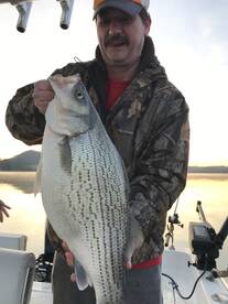 Rutledge Report Photo 2