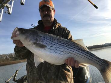 Rutledge Report Photo 1