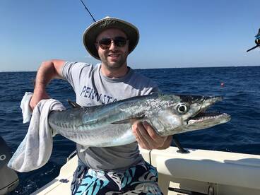 Spring kingfish are here; blacktip shark