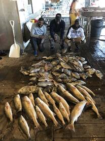 Venice Report Photo 2