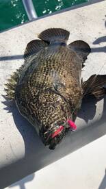 Spring has sprung! The bite is on! 