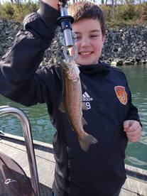 Branson Report Photo 1