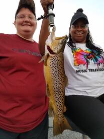 Branson Report Photo 1