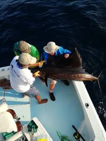 February 17 - Full Day Off Shore