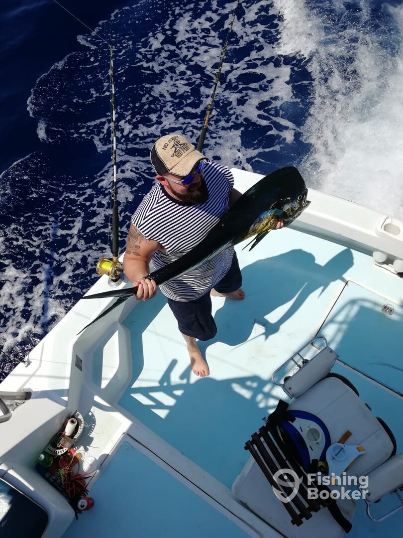 Quepos Report Photo 0