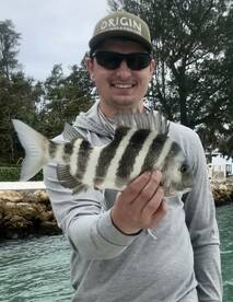 Sarasota Report Photo 1