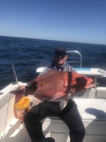 Orange Beach Report Photo 1