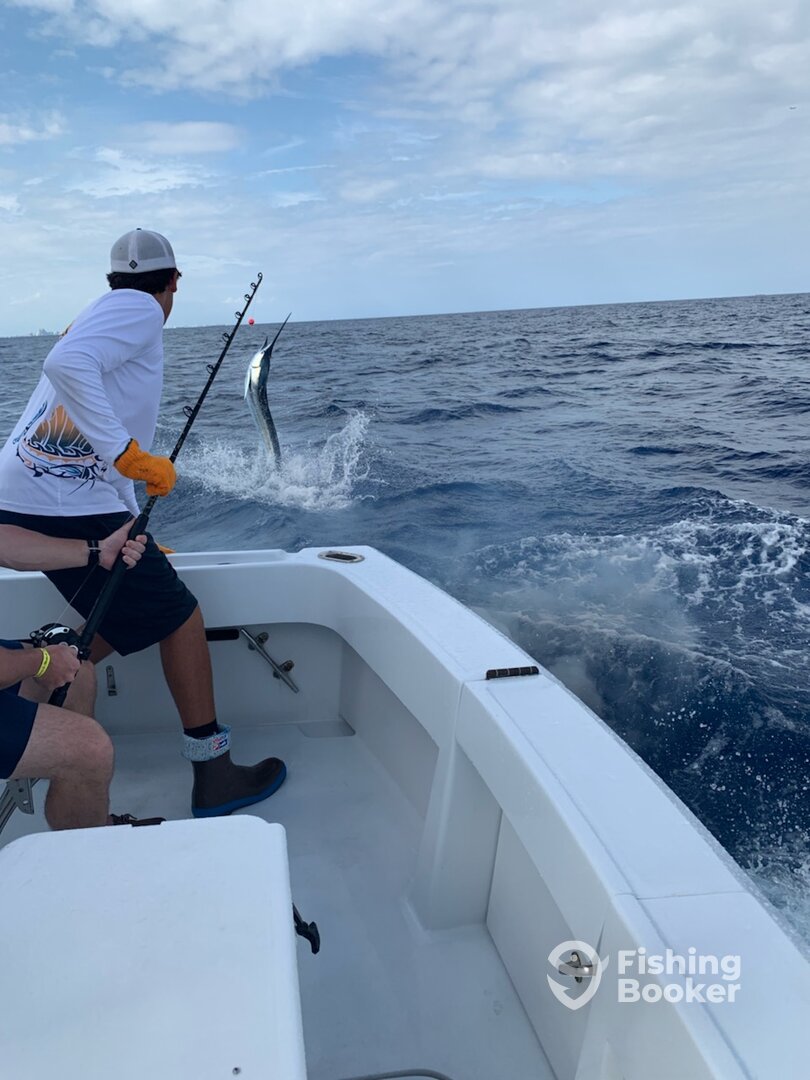 Fort Lauderdale Report Photo 0