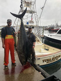 Gloucester Report Photo 2