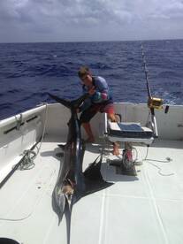 75 lbs Sailfish