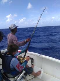Sailfish caught on Billfish