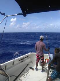 Sailfish making some acrobatics