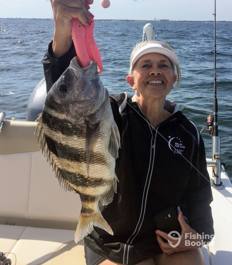 Navarre Report Photo 0