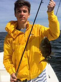 Navarre Report Photo 1