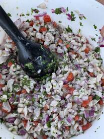 Puerto Aventuras Report Photo 2