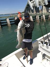 Clearwater Report Photo 2