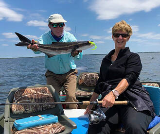 The year's first cobia, released. 