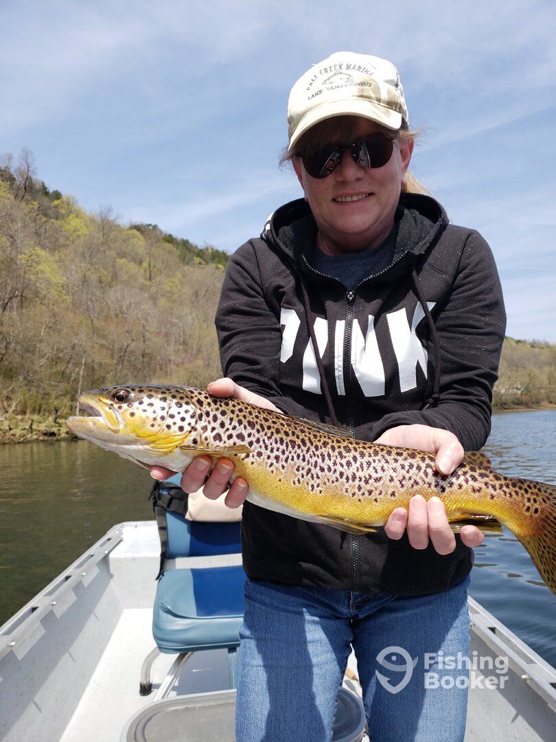 Branson Report Photo 0