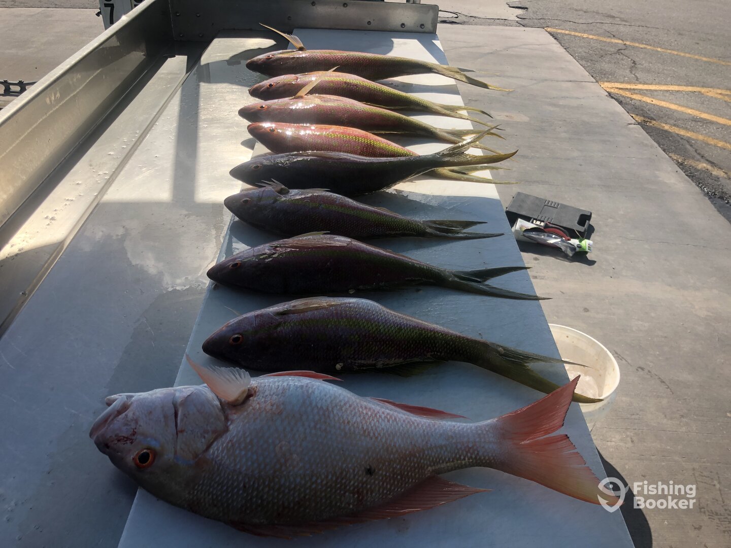 Marathon Report Photo 0