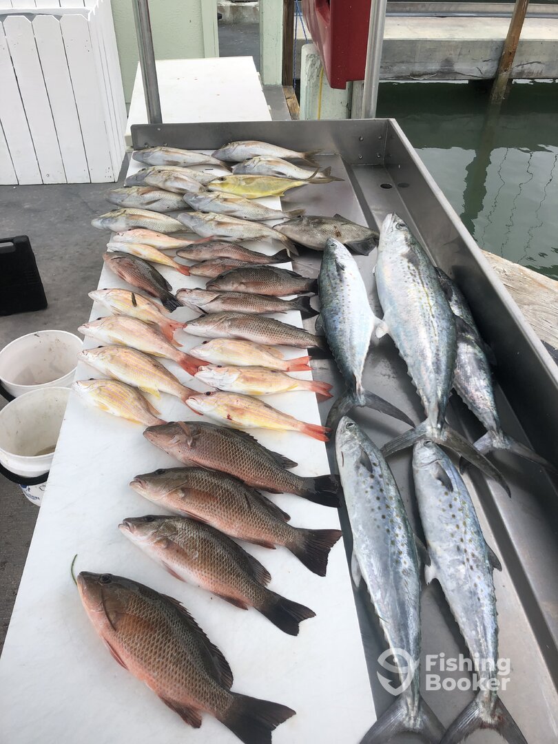 Marathon Report Photo 0