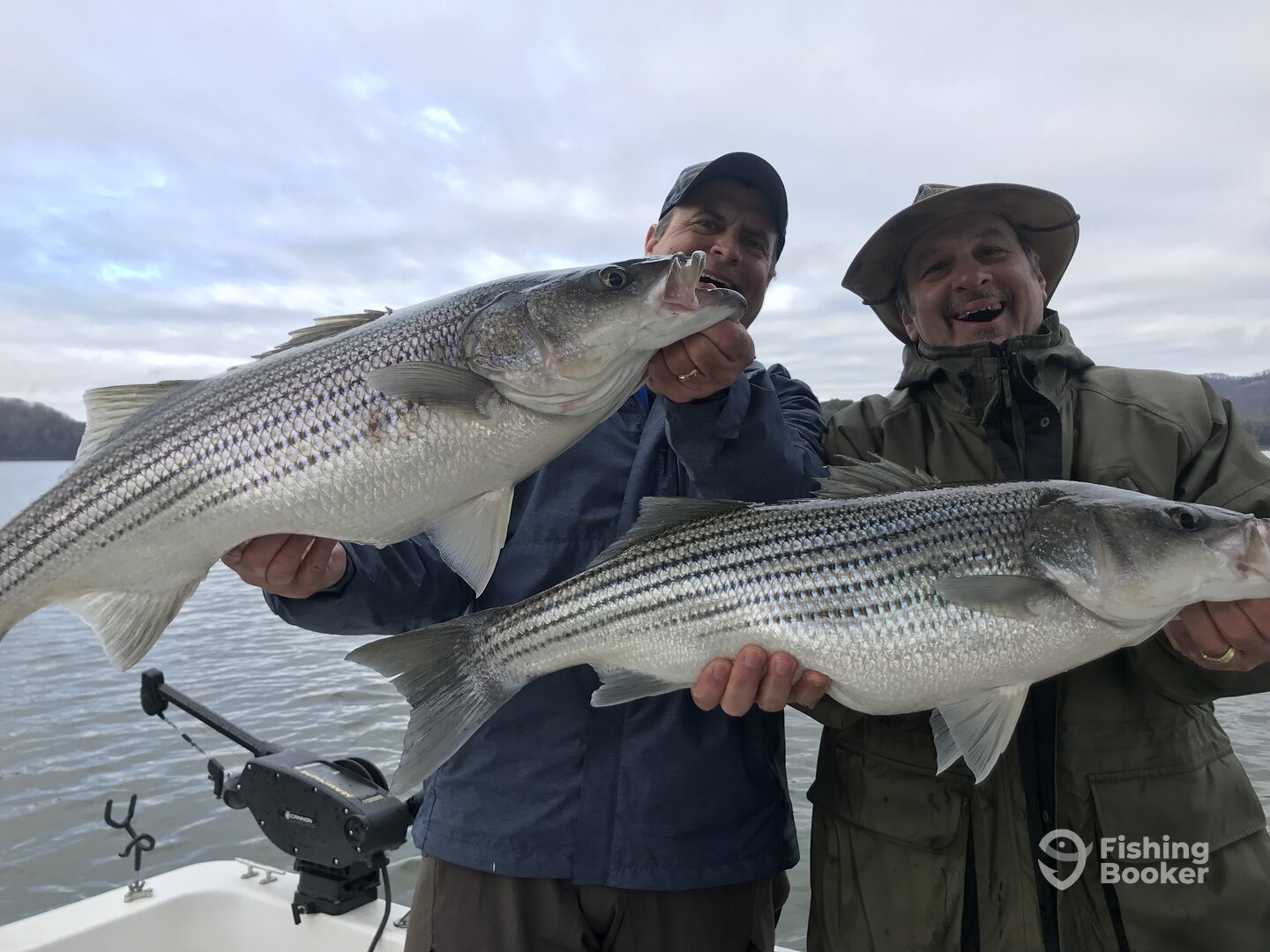 Rutledge Report Photo 0