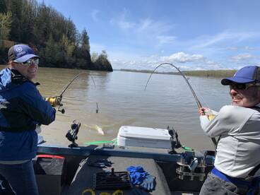 Chilliwack Report Photo 1