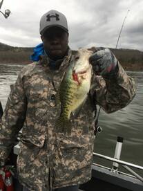 Branson Report Photo 1