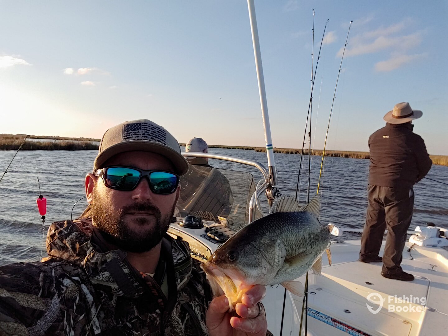 St. Bernard Report Photo 0