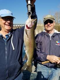 Branson Report Photo 1