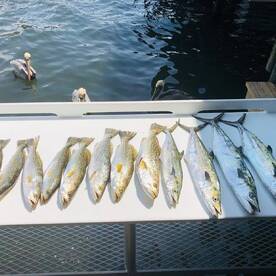 Crystal River Report Photo 2