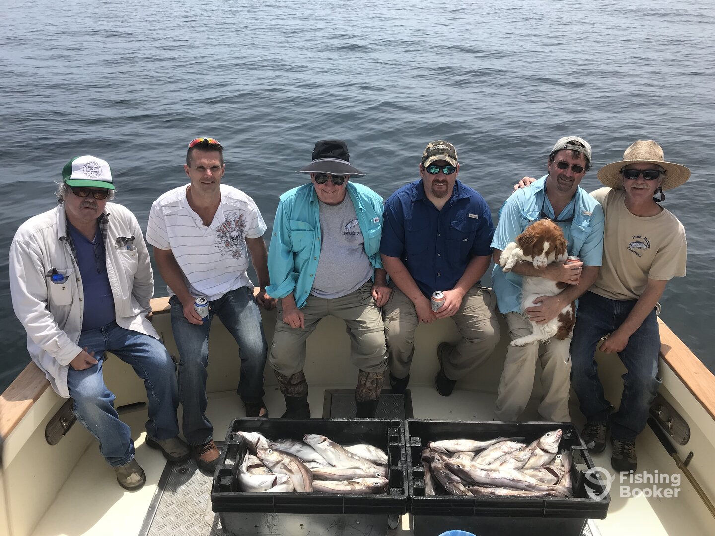 Gloucester Report Photo 0