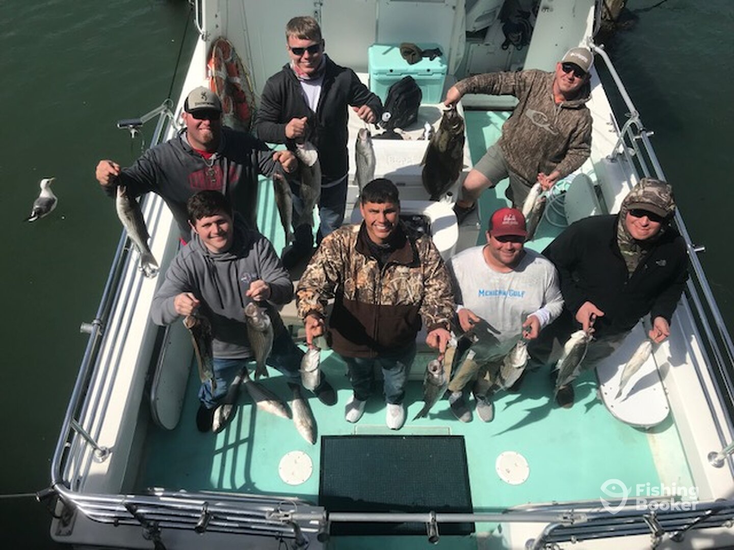 San Francisco Report Photo 0