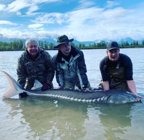 Sturgeon slam show 