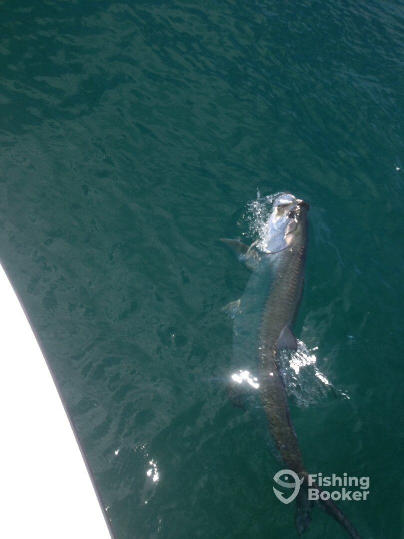 Big Pine Key Report Photo 0