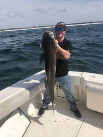 Cobia fishing 04/17/19