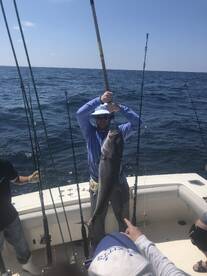 Destin Report Photo 2