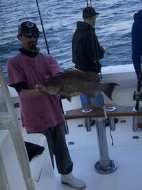 Destin Report Photo 1