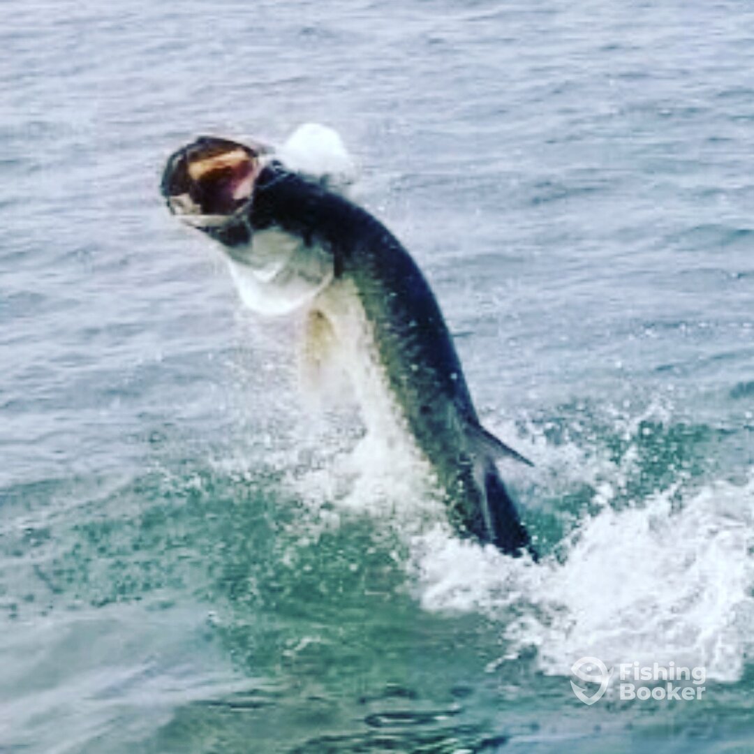 Islamorada Report Photo 0