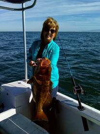 Grouper season just started