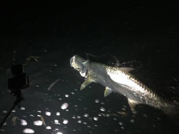 Miami Report Photo 1