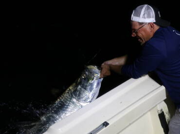 HOLDING THE SILVER KING 