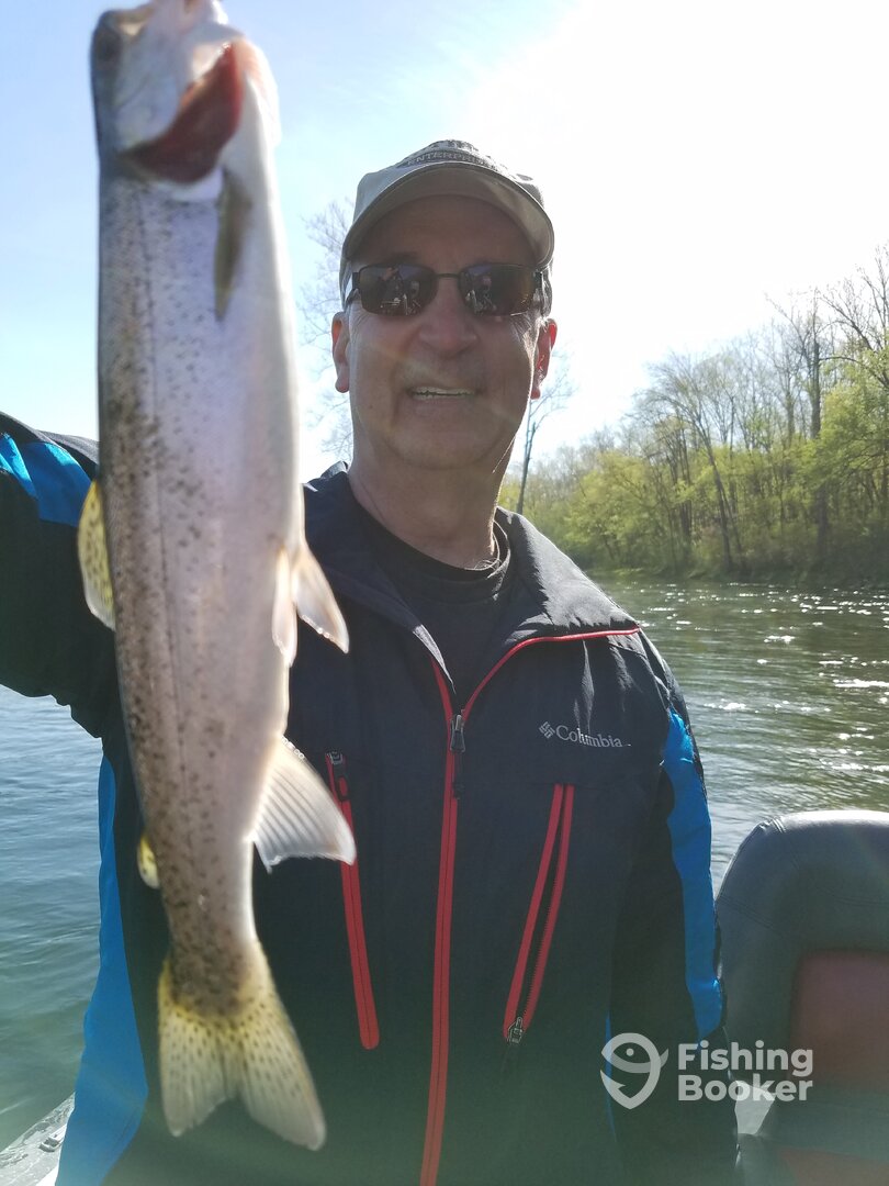 Branson Report Photo 0