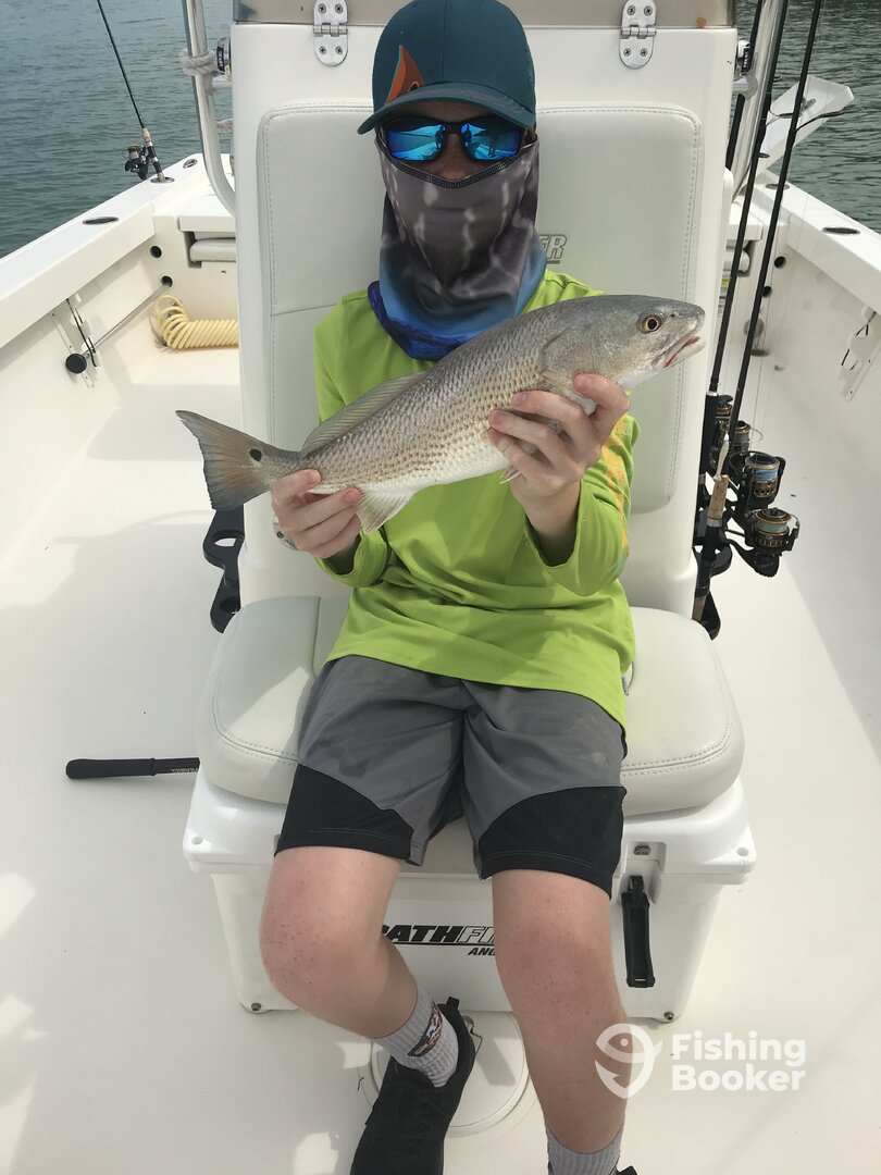 Marco Island Report Photo 0