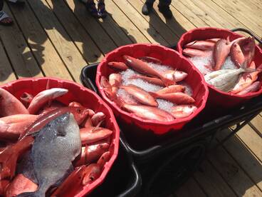 Great weather and Great Fishing