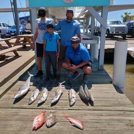 Kingfish are back in yexas waters