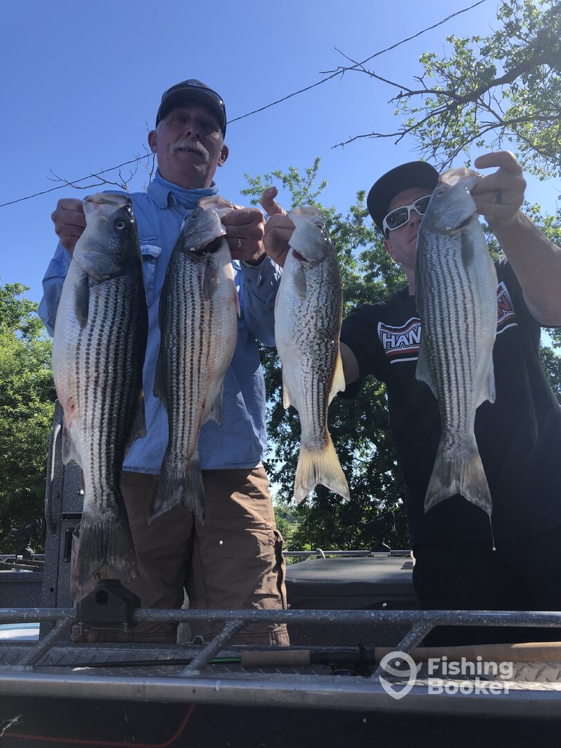 Sutter Yuba Area Report Photo 0