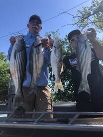 STRIPED BASS AT ITS BEST!