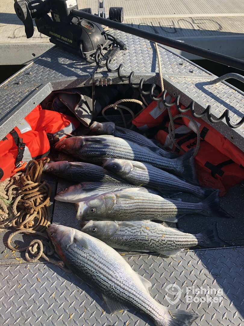 Sutter Yuba Area Report Photo 0