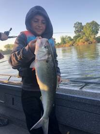 Sutter Yuba Area Report Photo 1