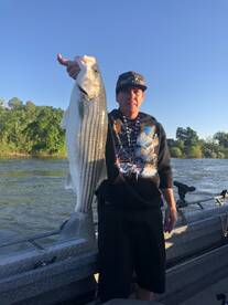 Sutter Yuba Area Report Photo 2